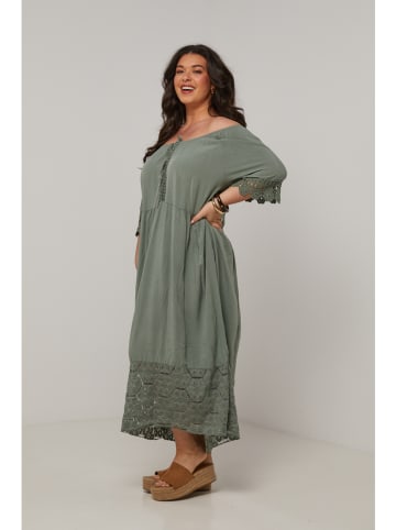 Curvy Lady Kleid in Khaki