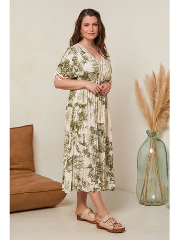 Curvy Lady Sukienka w kolorze oliwkowo-kremowym