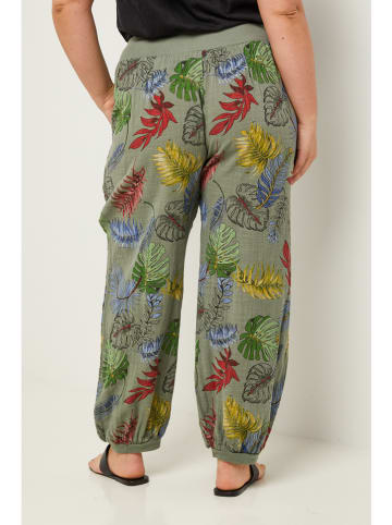 Curvy Lady Hose in Khaki/ Rot