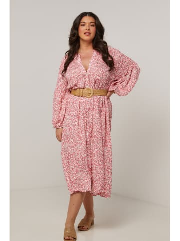 Curvy Lady Kleid in Rosa