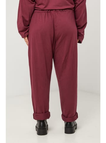 Curvy Lady Hose in Bordeaux