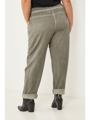 Curvy Lady Hose in Khaki