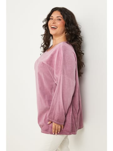 Curvy Lady Longsleeve in Rosa