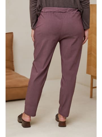 Curvy Lady Spodnie w kolorze fioletowym