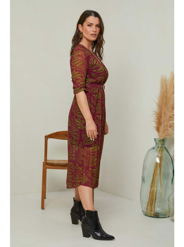 Curvy Lady Kleid in Bordeaux/ Grün