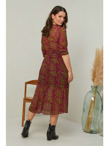 Curvy Lady Sukienka w kolorze bordowo-zielonym