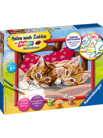 Ravensburger Malen nach Zahlen-Set "Zwei Schmusekätzchen" - ab 9 Jahren
