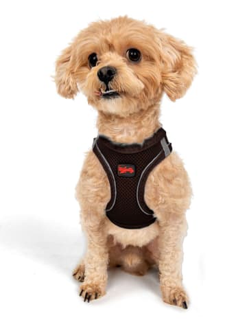 Paws&Whiskers Hundegeschirr in Braun