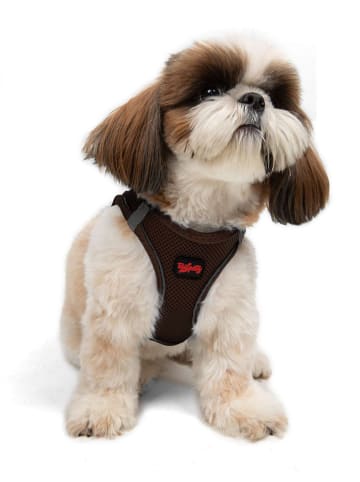 Paws&Whiskers Hundegeschirr in Braun