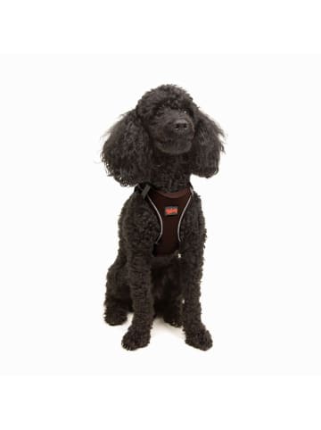 Paws&Whiskers Hundegeschirr in Braun