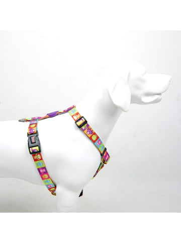 Paws&Whiskers Hundegeschirr in Bunt
