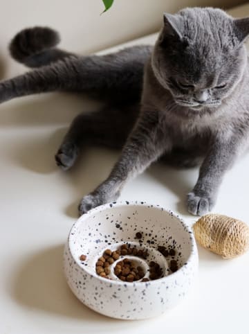 Paws&Whiskers Fressnapf in Weiß/ Schwarz - (H)6 x Ø 14 cm