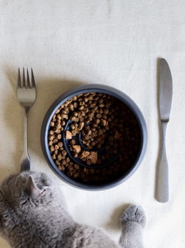 Paws&Whiskers Fressnapf in Schwarz - (H)6 x Ø 14 cm