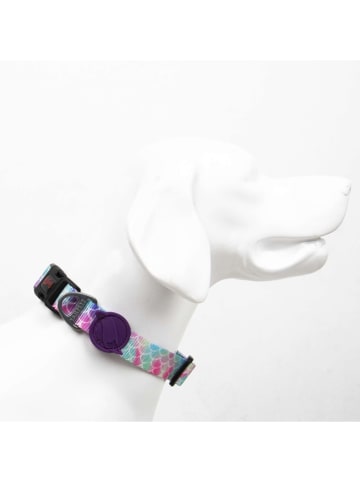 Paws&Whiskers Obroża ze wzorem dla psa