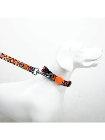 Paws&Whiskers Hondenhalsband zwart/oranje