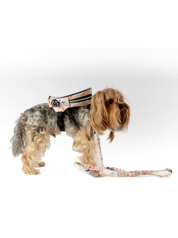 Paws&Whiskers 2-delige hondentuigset crème