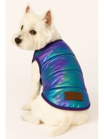 Paws&Whiskers Hundehoodie in Blau/ Lila