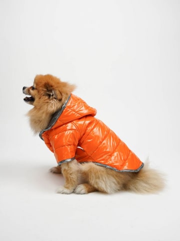 Paws&Whiskers Hondenhoodie oranje