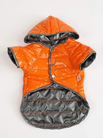 Paws&Whiskers Hondenhoodie oranje