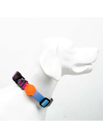 Paws&Whiskers Hundehalsband in Hellblau/ Orange