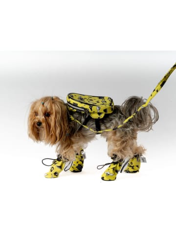 Paws&Whiskers Hundeschuhe in Gelb
