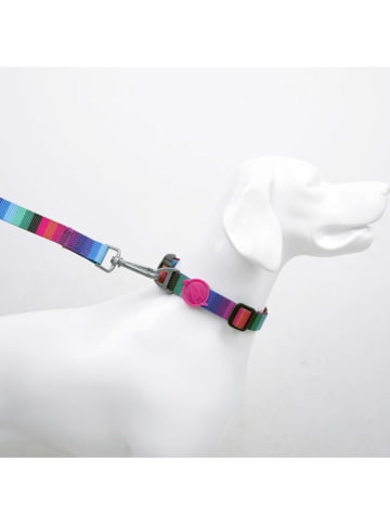 Paws&Whiskers Hundehalsband ''Wave'' in Bunt