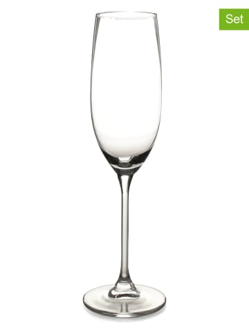 Salt and Pepper Kieliszki (6 szt.) "Tinta" do szampana - 210 ml