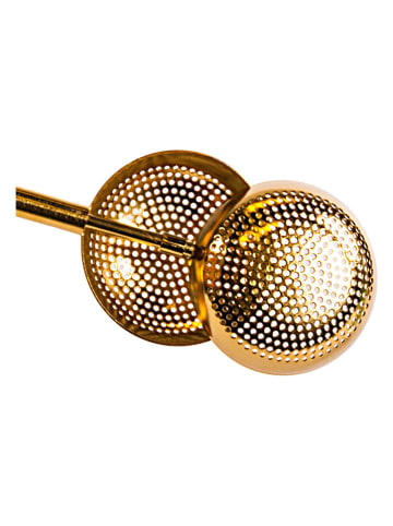 Homla Zaparzacz "Jalo" w kolorze złotym do herbaty - 5 x 17 x 3,5 cm