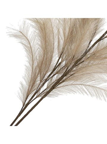 Homla Dekoracyjna gałązka "Canne" w kolorze beżowym - dł. 100 cm