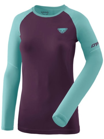 DYNAFIT Funktionslongsleeve "ALPINE PRO" in Lila/ Türkis