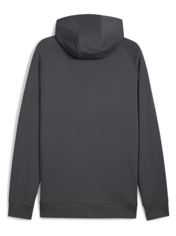Puma Hoodie in Anthrazit