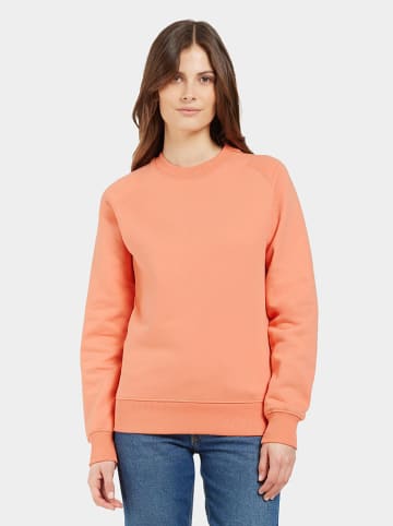 Didriksons Sweatshirt "Fyn" in Orange
