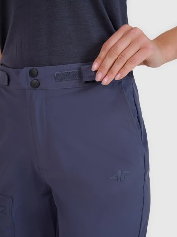 4F Trekkingshorts in Anthrazit