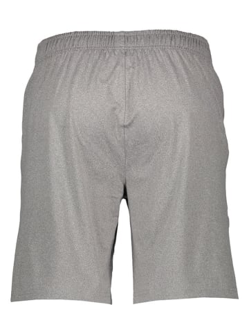 4F Shorts in Grau