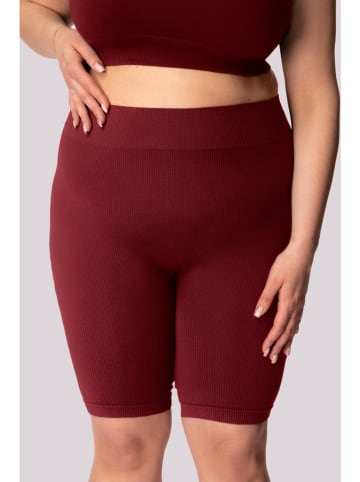 Spaio Szorty sportowe "Ribbed" w kolorze bordowym