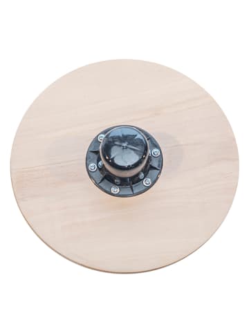 hippodino Balancierboard - ab 3 Jahren