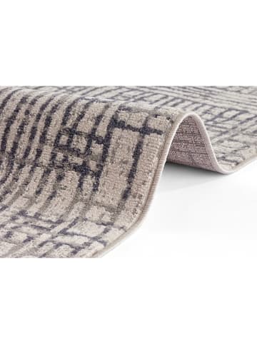 Hanse Home Kurzflor-Teppich "Sole" in Creme/ Grau