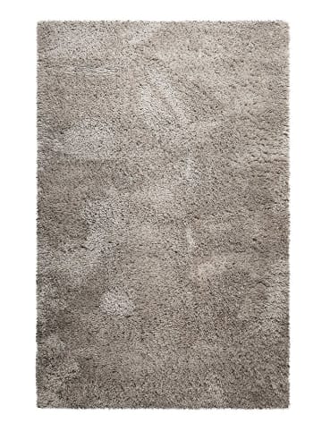 Homie Living Dywan "Matteo" w kolorze szarym