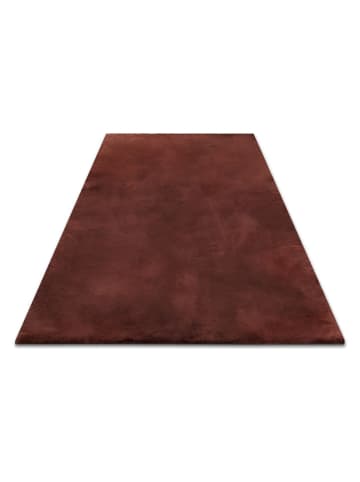 Wecon Home Dywan "Basics Anna" w kolorze bordowym