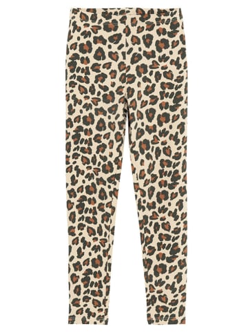 COOL CLUB 2-delige set: leggings antraciet/lichtbruin