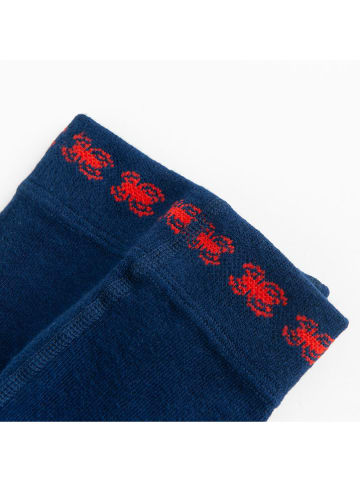 COOL CLUB Panty's donkerblauw