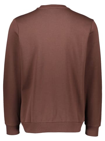 Puma Sweatshirt "Essentials+" in Braun