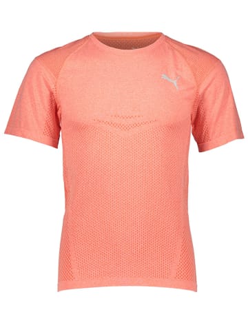 Puma Functioneel shirt "Train Evoknit" oranje