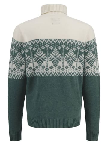 FYNCH-HATTON Wollrollkragenpullover in Grün/ Creme