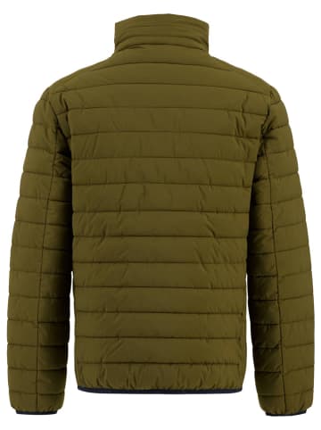 FYNCH-HATTON Steppjacke in Oliv