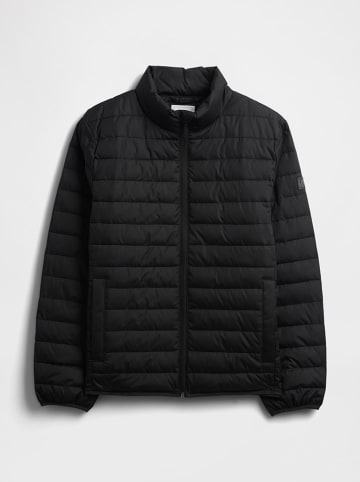 GAP Steppjacke in Schwarz