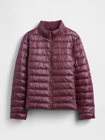GAP Steppjacke in Bordeaux