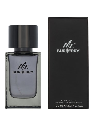 Burberry Mr. Burberry - eau de toilette, 100 ml