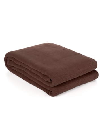 Yellow Plaid in Braun