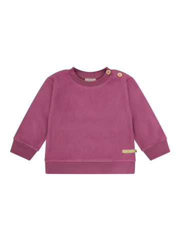 loud + proud Bluza w kolorze różowym